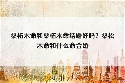 桑松土命是什么意思|桑柘木命